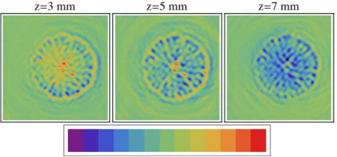 FIG. 7. (Color online) RTE reconstructions of a lemon slice. The field of view is 9 cm × 9 cm