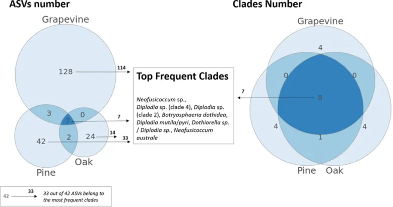 Fig. 2. Distribution of ampli ﬁ ed sequence variants (ASVs) and clade according to hosts.