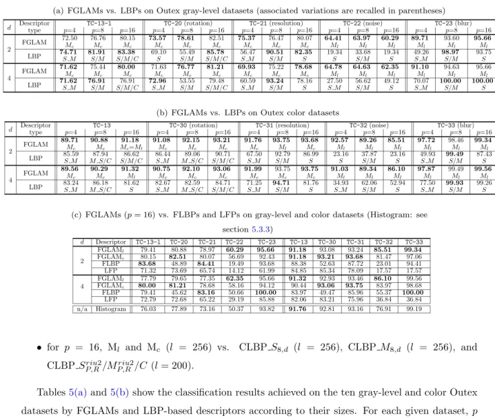Table 5: Classification performance of FGLAMs vs. other descriptors. FGLAMs are computed with a triangular membership function and the spatially-variant neighborhood function ˙v µ , and all descriptors use a 8-neighborhood at distance d.