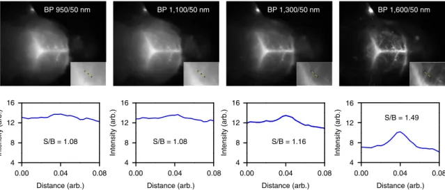 Figure 5 | Wavelength-selective SWIR imaging with CSS QDs. Fluorescence imaging of mouse brain vasculature through intact skin and skull using a mixture of SWIR CSS QDs