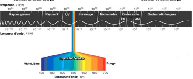 Figure 1.3: Le spectre électromagnétique. (SCENIHR, 2008)