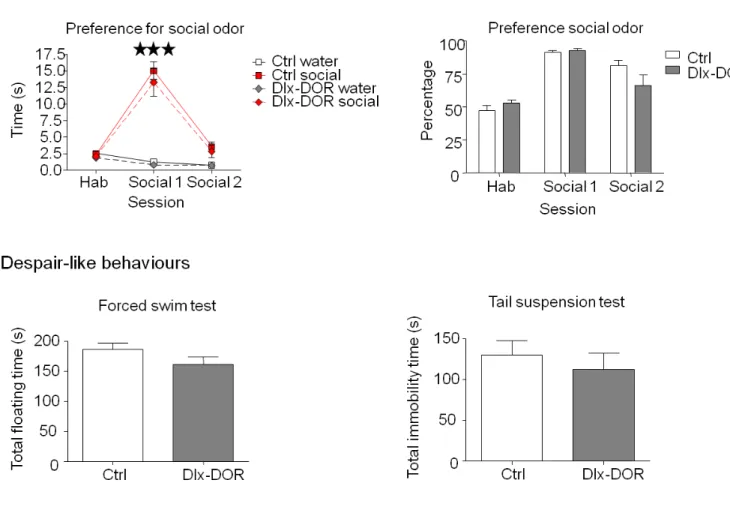 Fig. 3: Olfactory discrimination skills and despair behavior. Ctrl and Dlx-DOR mice were tested for olfactory discriminative skills
