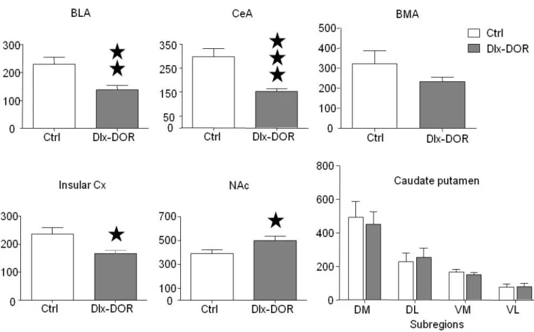 Fig. 5: Neural activity after novelty suppressed feeding. Dlx-DOR and Ctrl mice were subjected to the novelty suppressed feeding task, and tested for c-fos immunoreactivity 2 hours after end of the test