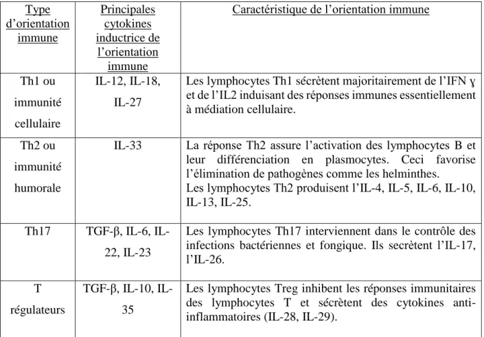 Tableau 3 : Ce tableau résume 4 types d’orientations immunes des lymphocytes T. Il précise les  principales  cytokines  présentes  dans  l’environnement  des  lymphocytes  T  lors  de  l’orientation  immune ainsi que le ou les traits principal/aux de l’ori