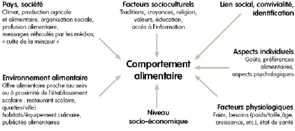 Figure 2.1 : Grands déterminants du comportement alimentaire (FOURNIER, 2012) 