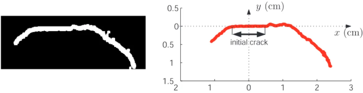 Fig. 3 – On the left, binary image showing the path followed by a crack, and on the right, corresponding extracted crack profile y(x).