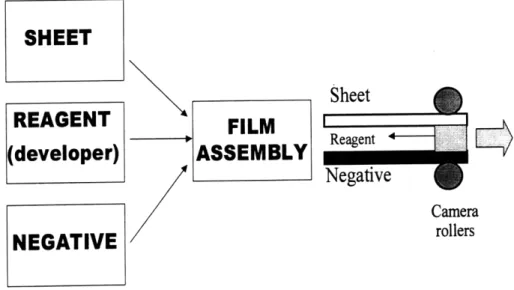 Figure  1.  Components of peel apart instant film.