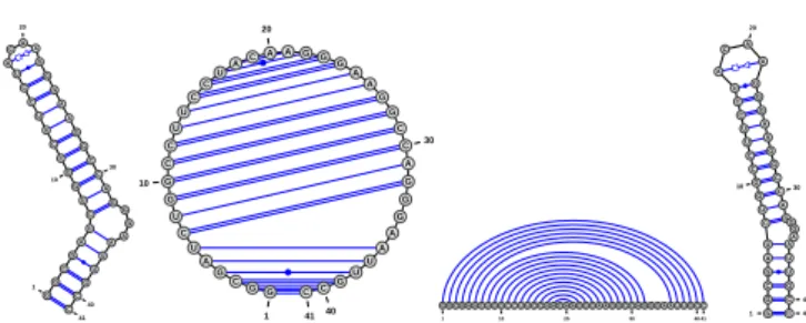 Fig. 1. Four representations (Radial, Circular, Linear and NAView) of the GAG-Pol -1 frameshift-inducing element in HIV-1 (PDBID:1ZC5) as rendered by VARNA under default settings.