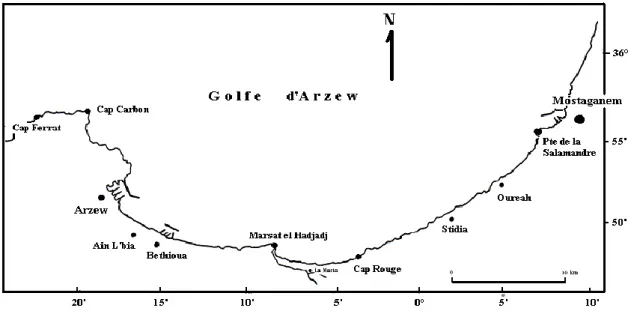 Figure 16- Le golfe d’Arzew (Chachoua et al., 2007) 