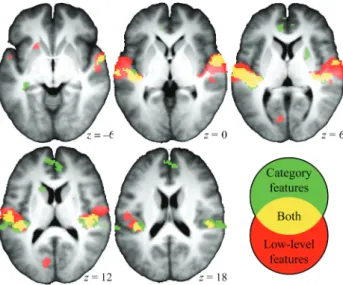 Figure 3 shows part of the cortical regions in which we ob- ob-served a signi ﬁ cant correlation between the RDMs and at least 1 of the object-category or low-level features ( P &lt; 0.0001,  un-corrected)