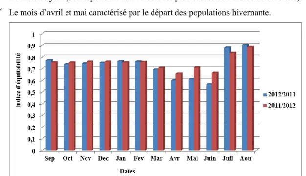 graphique  de  l’indice  d’équitabilité  indique  une  stabilité  au  voisinage  de  0.7  ce  qui  nous  renseigne  sur  une  représentativité  plus  ou  moins  équilibrée  des  espèces  du  Chott  El-Hodna