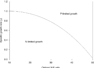 Figure 1-4 Illustration of algal specific growth rate depending on the optimal N:P ratio  (Richmond, 2008)
