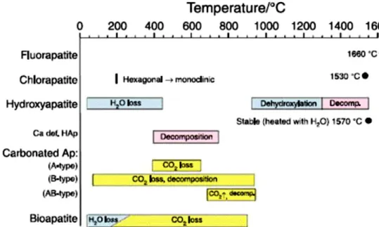 Figure I.20 : stabilité thermique de phosphates de calcium de structure apatitique de  compositions chimiques différentes  [36]