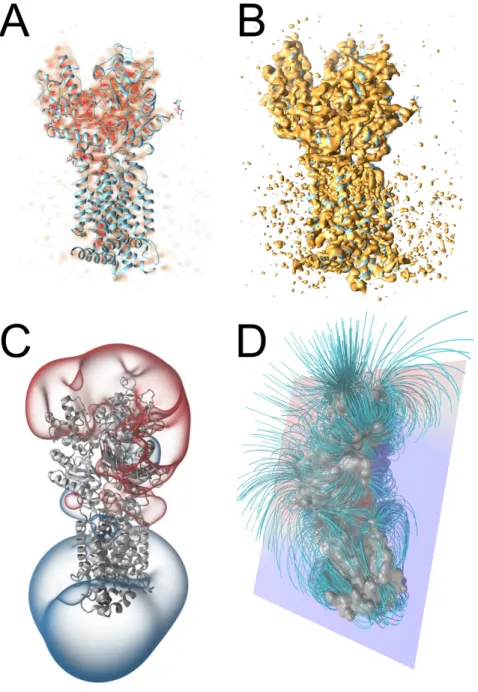 Figure 3: Examples of volume rendering for molecular data. Visualization of the cryo-EM map of a protein (PDB ID: 6D4J; EMDB ID: EMD-7796) rendered using direct volume rendering (A) and isosurface (B)