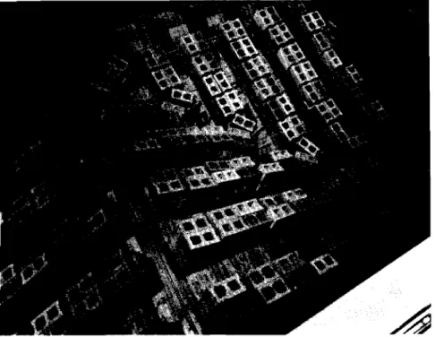 Figure  5  70-to  75-psf  load  caused failure  of  rafter  along the  N-S  ridge  (top of  picture) 