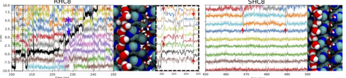 Figure 6 Example of single water wire dynamics in I-quartet channels. The z axis position of water molecules in  individual channels is plotted for selected time intervals (200-250 ns for RHC8 and 450-500 ns for SHC8)