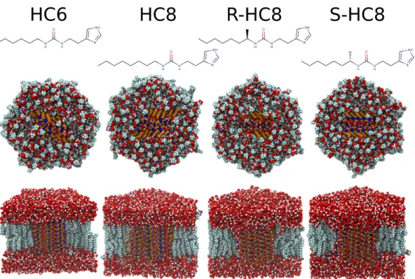 Figure  1  View  of  the  equilibrated  simulation  systems  for  the  four  I-quartet  channels  inserted  in  a  5:4:1  cholesterol/POPC/POPS  membrane  bilayer