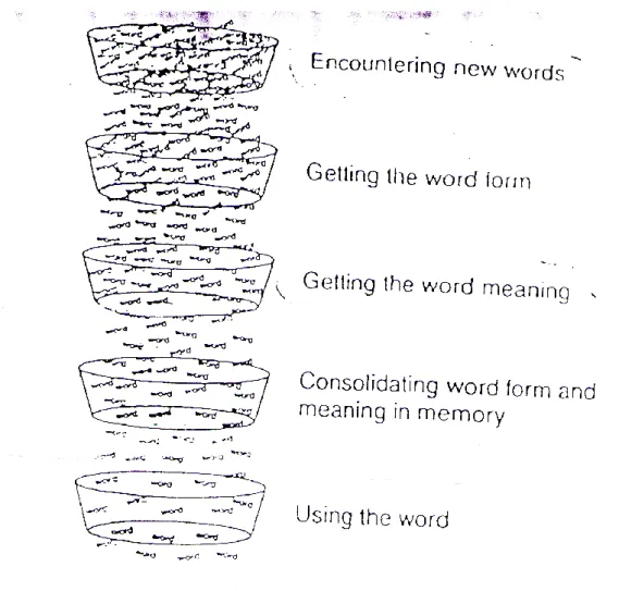 Figure 1: Five Essential Steps to Learn New Words (Hutch, Brown. 1995: 373) 