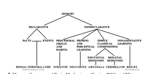 Figure 5. Memory Systems and Brain Mechanisms (Squire, 2004, p. 173) 