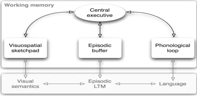 Figure 9. The Current Model of Working Memory (Baddeley, 2000, p. 418)  