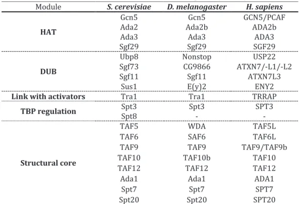 Table 1.1. Subunits and functional modules of SAGA complex in yeast, fly and human  Module  S