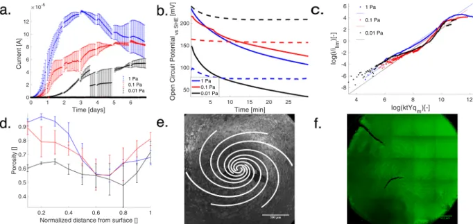 Figure 1. (a) The current produced by G. sulfurreducens at three shear stresses of 1 Pa, 0.1 Pa (s.e