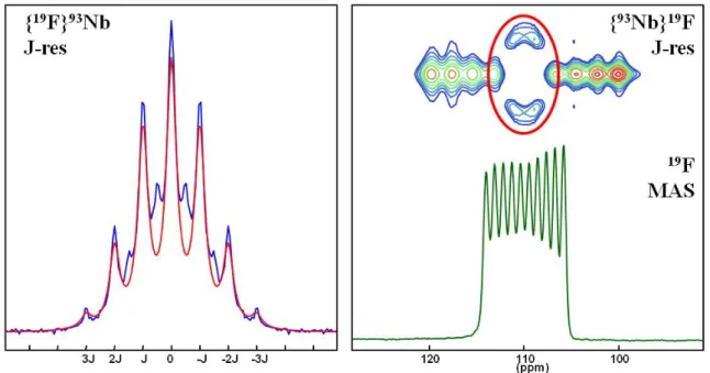 Figure 6 : Central transition selective { 19 F} 93 Nb J-resolved experiment and its model with a 7 fold multiplet –  1D MAS spectrum, δ F  = 110.1 ppm,  1 J = 344 Hz showing coupling to the 10 spin states of a single  93 Nb nucleus 