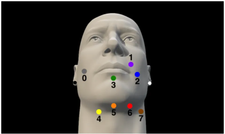 Figure 2-1: A typical arrangement of 8 signal electrodes (colors and gray, on face and neck) and reference and bias electrodes (white and black, interchangeable on earlobes).