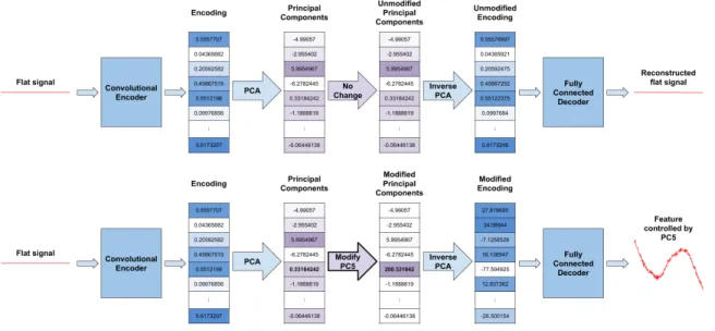 Figure 2-11: The changes to the reconstructed signal upon modifying one of the principal components reveals what features have been learned by the autoencoder that are controlled by that component