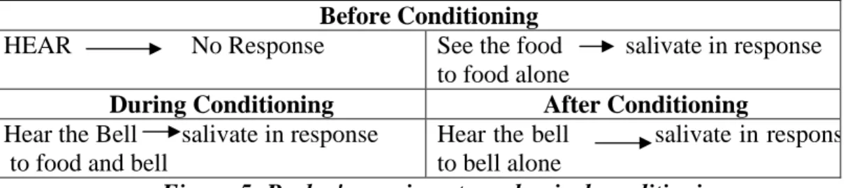 Figure 5: Pavlov's expriment on classical conditioning 