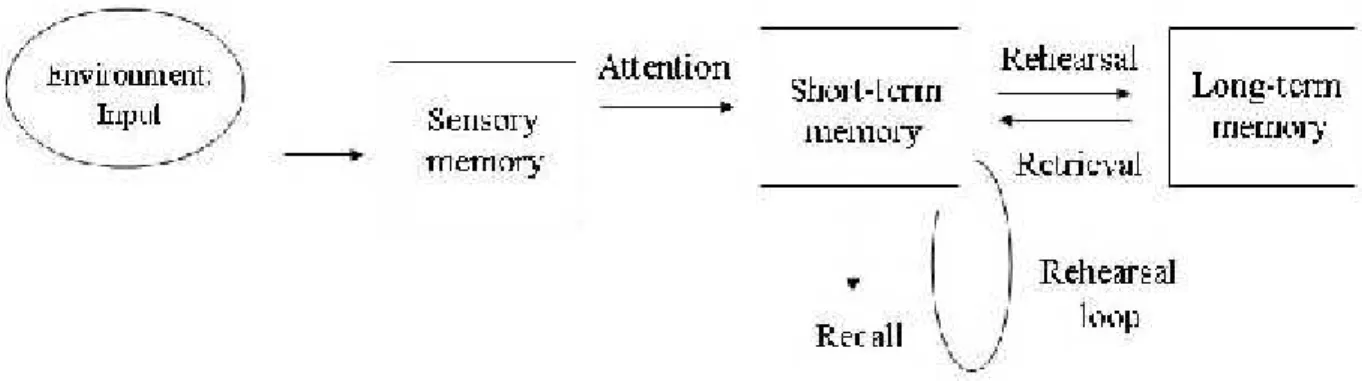 Figure 2.1: Atkinson and Sh riffin’s multi -store model of memory. Adapted from Human memory: A proposed system and its control processes (96), by R.C