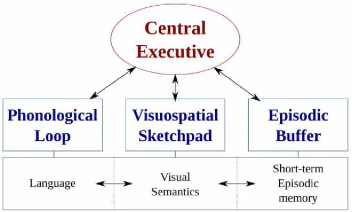 Figure 2.3: Baddeley Tripartite Model of Working Memory. Adapted from Working memory, by A.D