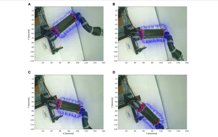 FIGURE 8 | Peripersonal space and arm-centered RF for various motor positions. We display in (A–D) the information about the compound GF receptive fields resulting from the interaction between the hand and target receptive fields, for all the target locati