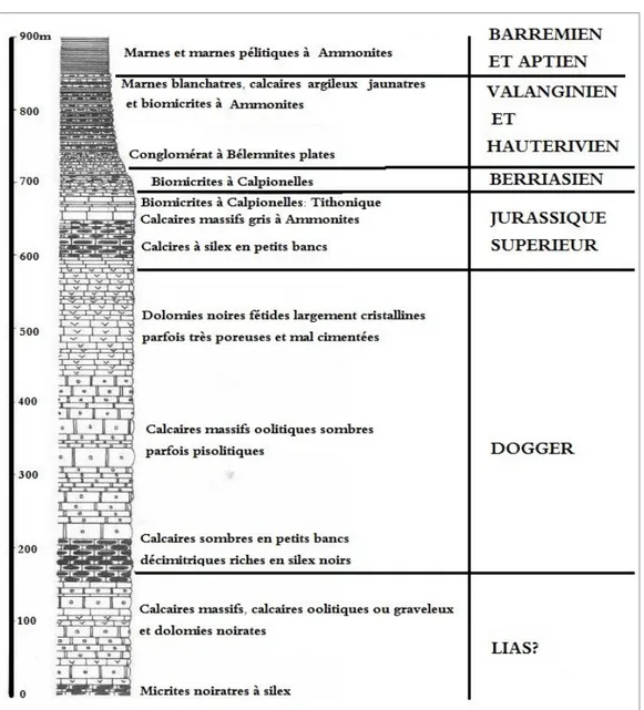 Figure  2.3 :  log  lithostratigraphique  et  synthétique  de  la  série  du  Djebel  Akhal