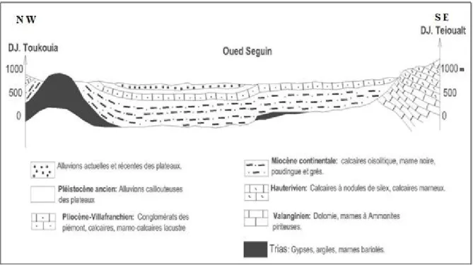 Figure 2.7 : Coupe géologique synthétique de la région de Télèghma- Oued Seguin. (D’après  Sonatrach, 1973)
