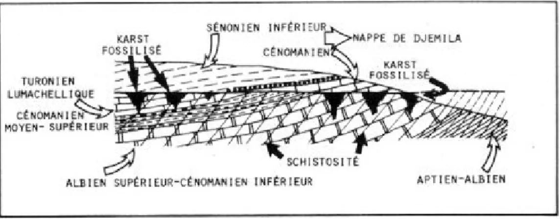 Figure  4.1 :  Schéma  récapitulatif  très  simplifié  des  relations  structurales  du  Djebel  bou  cherf  après annulation de la tectonique tardive (d’après J.M.Vila, 1980)