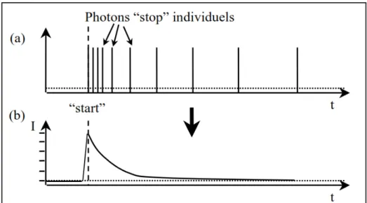Figure I.11 : Construction du spectre de temps de vie : (a) temps d’arrivée des photons “stop” 