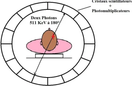 Figure I.19 - Principe de détection de la tomographie à émission de positons