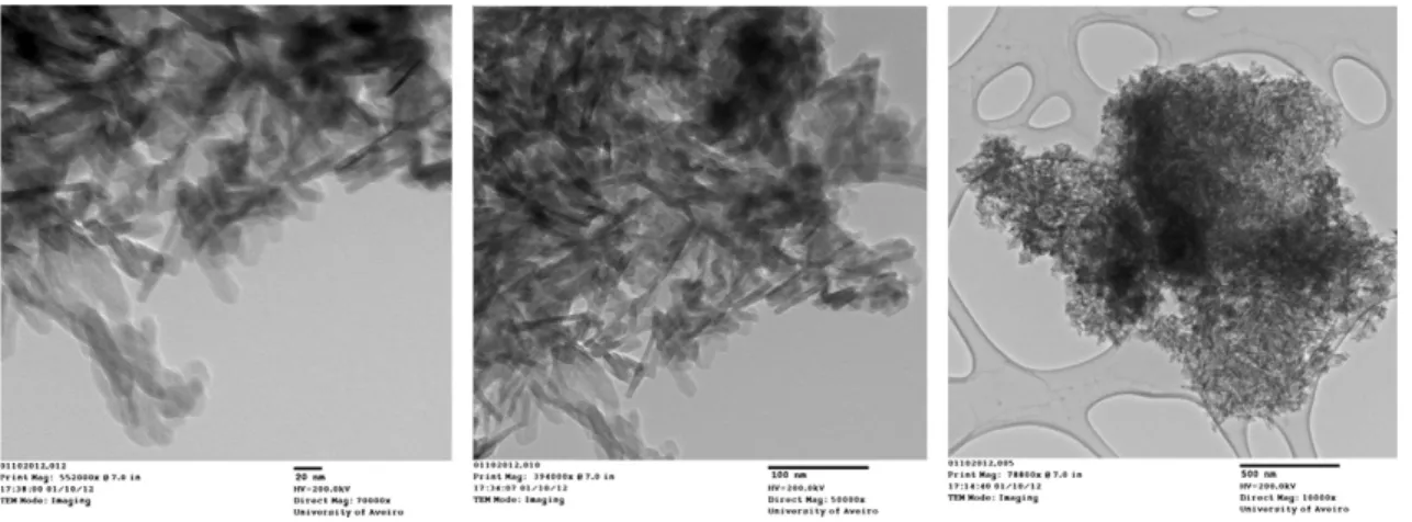 Figure 8. TEM images of the HAp particles produced in the microreactors. 