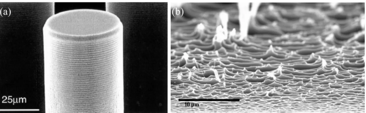 Figure 2.2.  Scanning electron microscopy images of DRIE-etched side wall, showing (a) scalloping 36 and (b) surface roughness