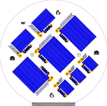 Figure 2.9.  Illustration of the layout of the Goldilocks devices on a wafer. 