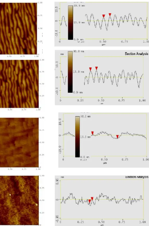 Figure 3.3: à gauche, les images AFM (1µmx1µm) en fond de  cratère SIMS et à droite l'analyse de section de chaque image 