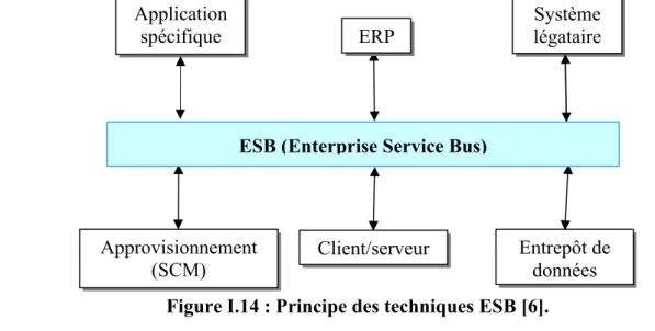 Figure I.14 : Principe des techniques ESB [6].