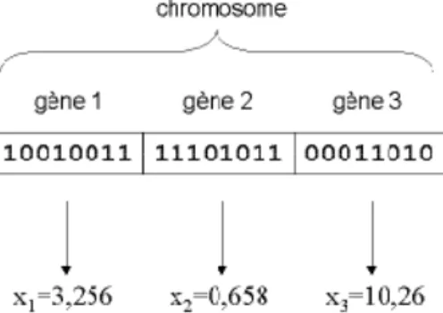 Figure 2.2 : Illustration schématique du codage des variables réelles. 