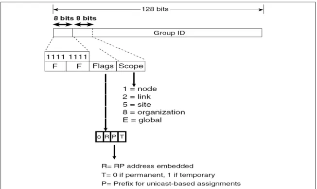 Figure 1.8 : Adresse multicast IPv6. 