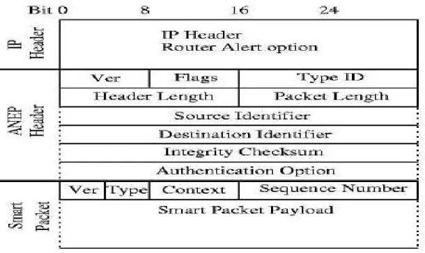 Figure 2.2 : Format d’un paquet Smart Packet. 