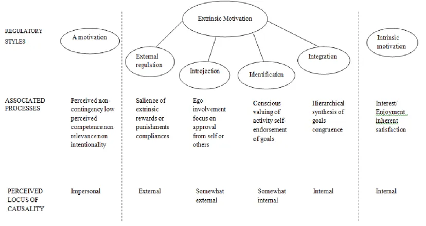 Figure 03:     A  Taxonomy of Human Motivation 