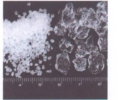 Figure 2.1: Superabsorbent Cross-linked Polyacrylamide in dry state (left) and hydrated  state (right); scale in centimeters [8]