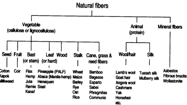 Figure 2. : Classification of natural fibers [140]. 
