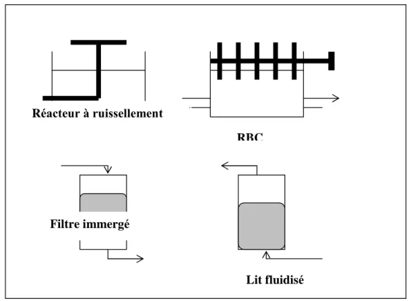 Figure 12 : les principaux mod èles de traitement de l’azote par immobilisation de la  biomasse (Sorensen et Jorgensen, 1993)